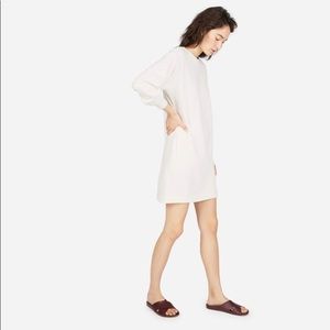 Everlane Sweatshirt Dress